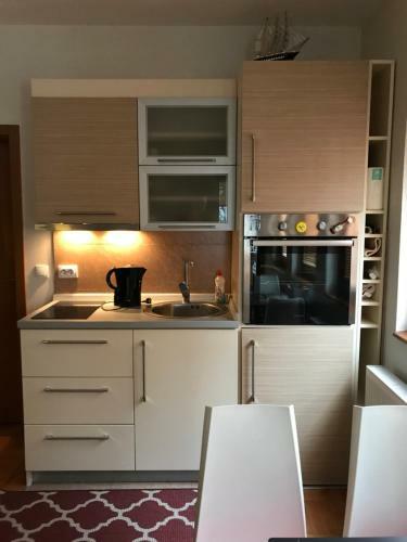 Apartment Fortuna