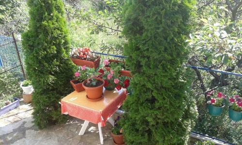 Apartamento Maryanne
