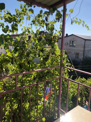 Hostal Guest House On Oktyabrskaya 93