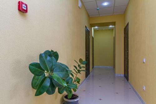 Abazhur Apartments