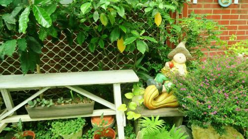 Bed & Breakfast Uncle Pumpkin