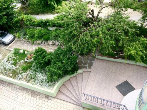 Perla Hostel