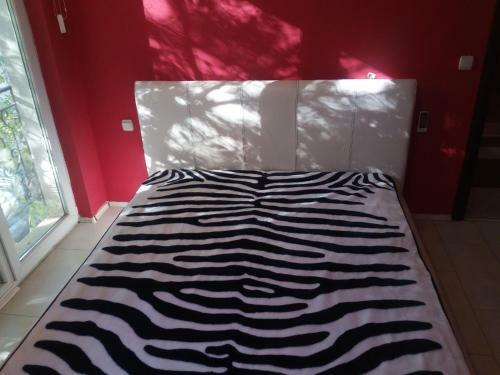 Hostal Asparuhov Guest Rooms And Apartments