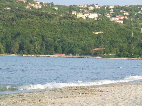 Hostal Asparuhov Guest Rooms And Apartments