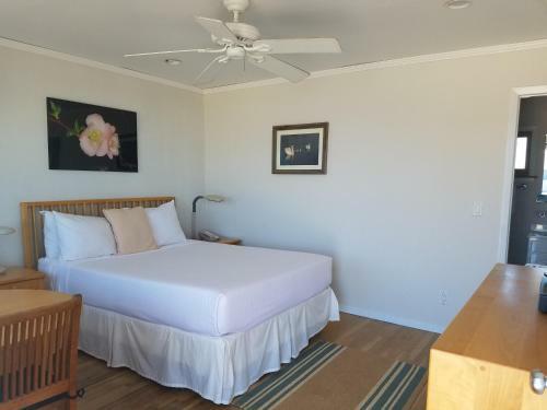 White Sands Motel