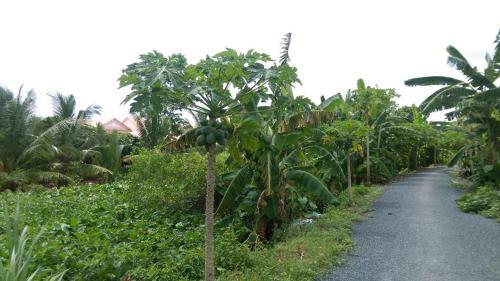 Ut Thuy Homestay