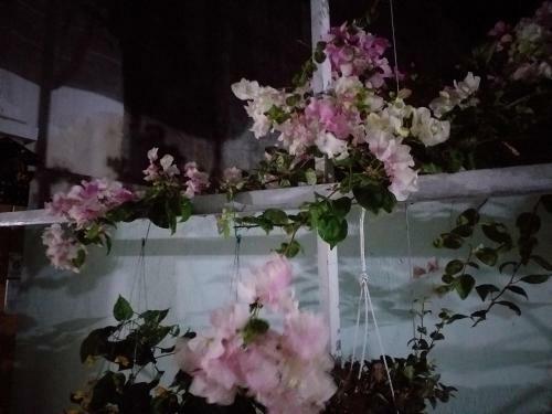 Hostal Nguy�n Anh Beach Guesthouse