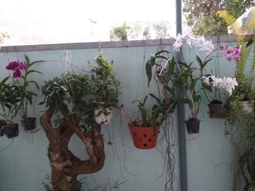 Hostal Nguy�n Anh Beach Guesthouse