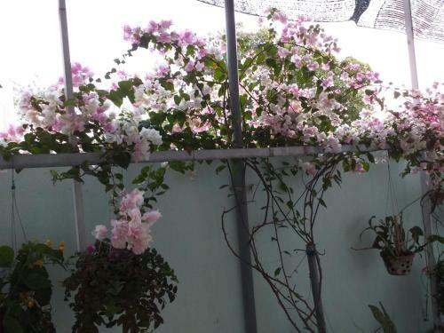 Hostal Nguy�n Anh Beach Guesthouse