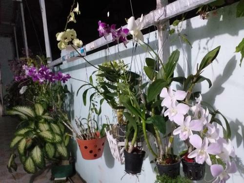 Hostal Nguy�n Anh Beach Guesthouse