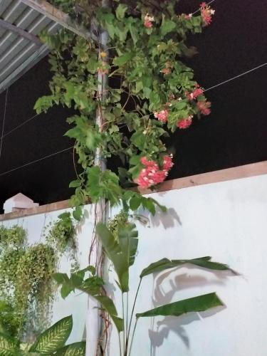 Hostal Nguy�n Anh Beach Guesthouse