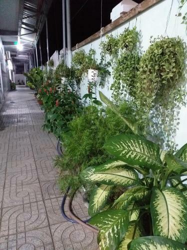 Hostal Nguy�n Anh Beach Guesthouse