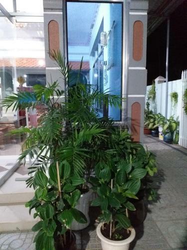 Hostal Nguy�n Anh Beach Guesthouse