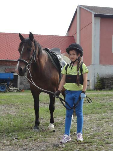 Apartamento Jizdarna Zamek Skalice
