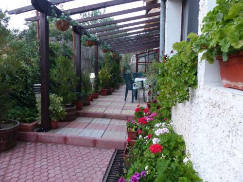 Hostal Guest House Delphini