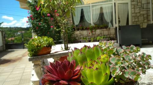 Hostal Mania Guest House