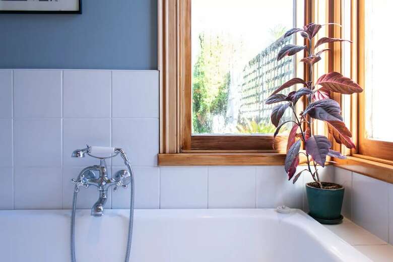 Characterful 2 Bedroom Ponsonby Villa With Private Garden
