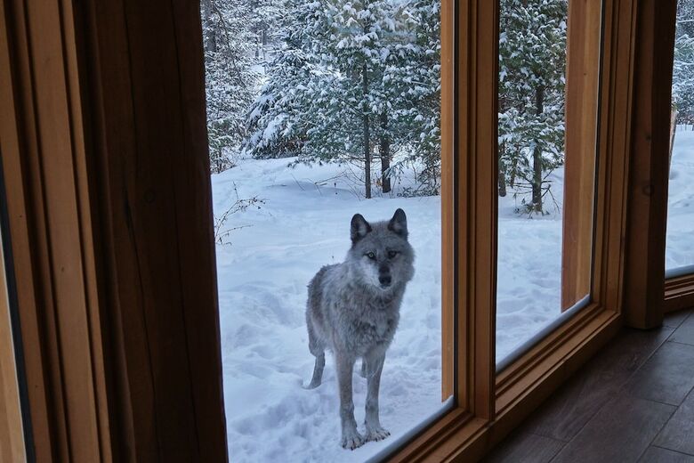 Parc Omega