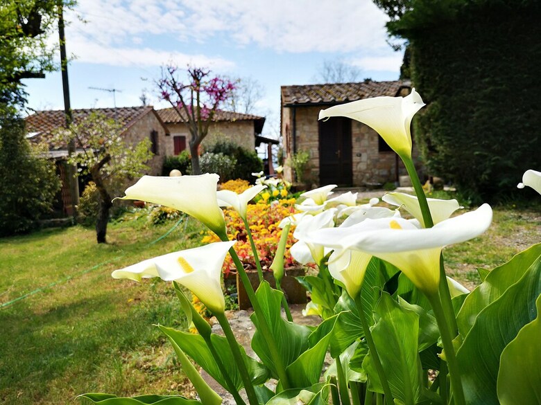 Agroturismo Agriturismo Grecinella