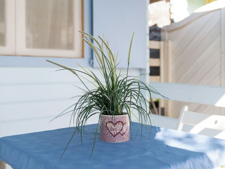 Apartamento Charming Bungalow In Oliva With Swimming Pool