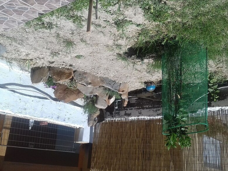 Welcoming Apartment In Venerato With Garden