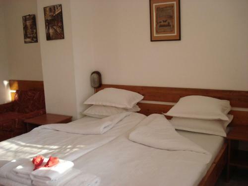 Hostal Villa Exotica