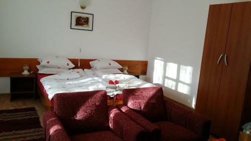 Hostal Villa Exotica