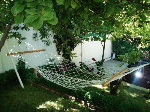 Hostal Villa Exotica
