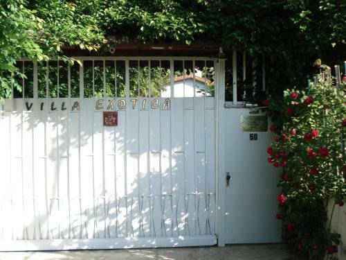 Hostal Villa Exotica