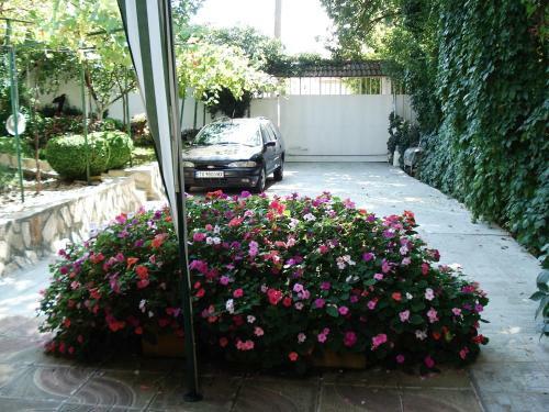 Hostal Villa Exotica