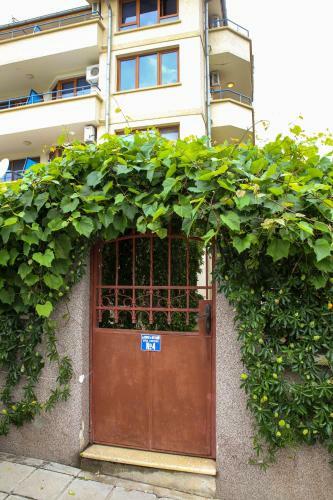 Hostal Dream House