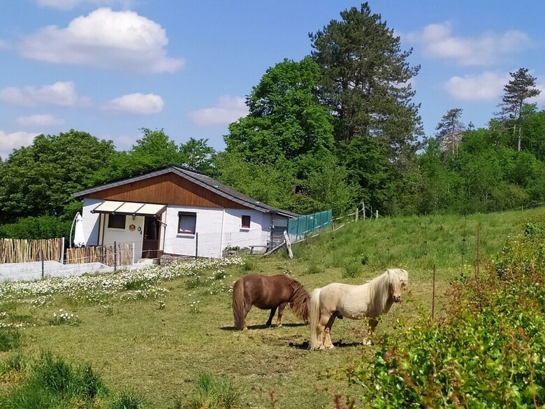 Serene Holiday Home In Han-sur-lesse With Garden