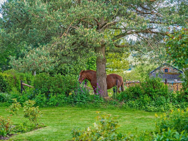 Captivating Cottage In Vielsalm Near The Forest