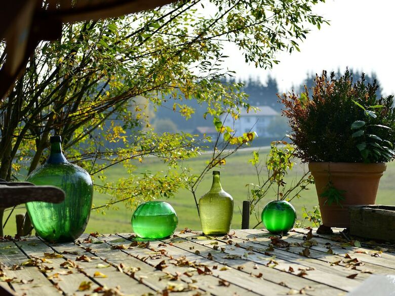 Traditional Apartment In Altreichenau With Garden