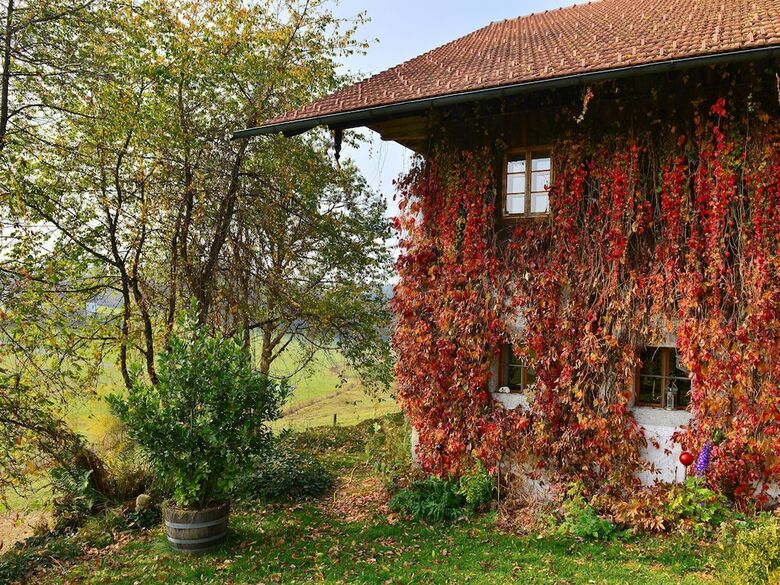 Traditional Apartment In Altreichenau With Garden