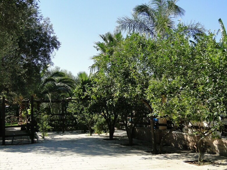 Secluded Holiday Home In Matino With Swimming Pool