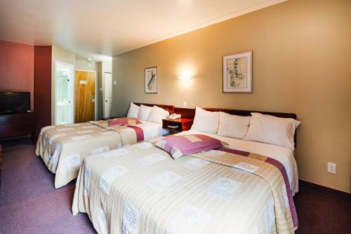 Hotel Auberge Harris