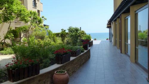 Apartamentos Oasis Beach Studios