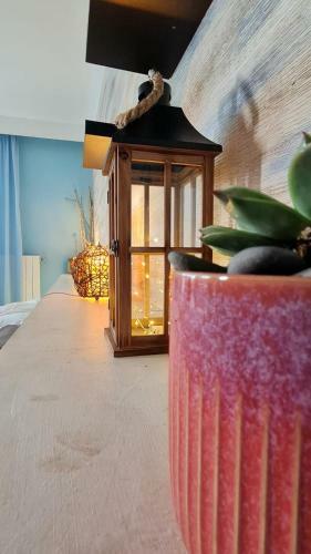 Apartamentos Oasis Beach Studios