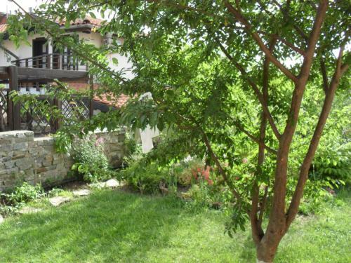 Hostal Vila Krista