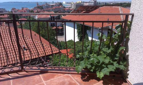 Hostal Vila Krista