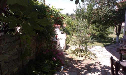 Hostal Vila Krista