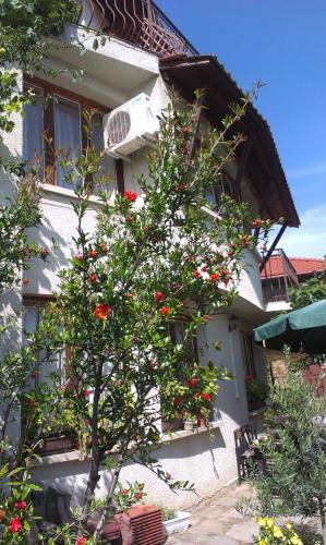 Hostal Vila Krista