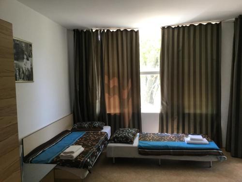 Sofia Apartments In Sunny Residence