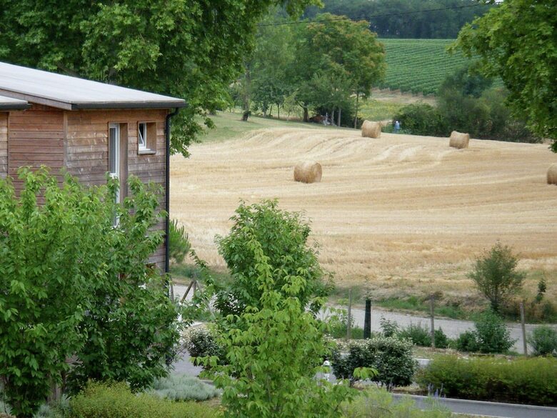 Nice Apartment With A Bbq, Near Montr�al Du Gers