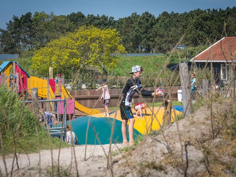 Comfortable Chalet With Dishwasher, In The Texel Dune Areal