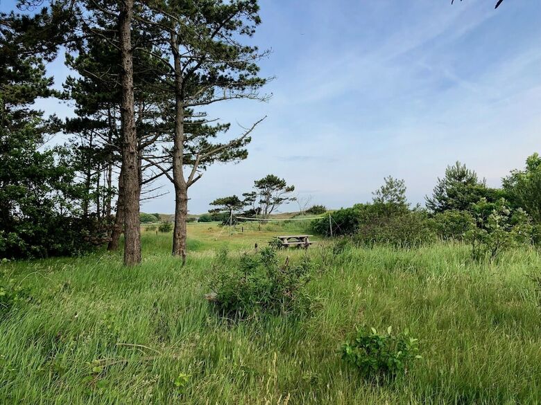 Comfortable Chalet With Dishwasher, In The Texel Dune Areal