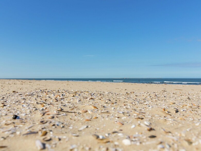 Well-kept Bungalow With Dishwasher, 1.5 Km. From The Beach