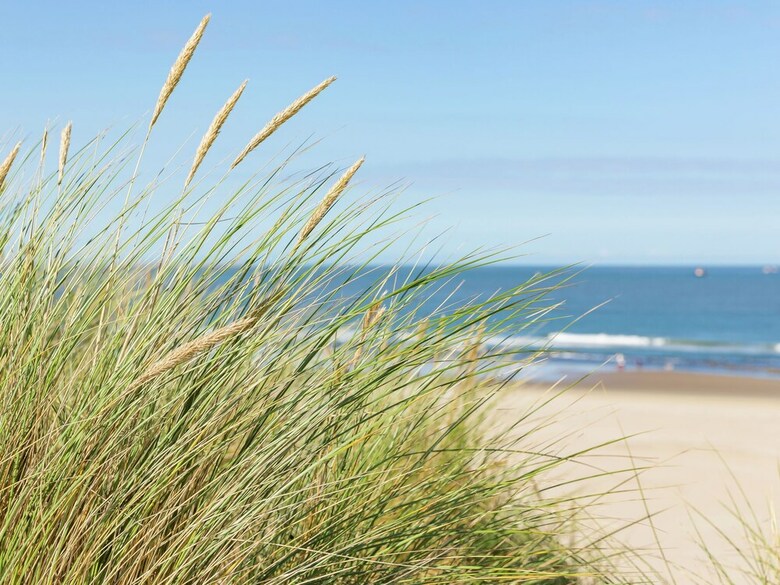 Well-kept Bungalow With Dishwasher, 1.5 Km. From The Beach