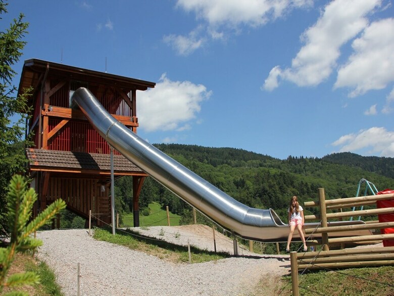 Cozy Chalet With Dishwasher, In The High Vosges
